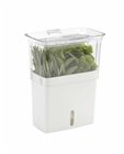 Container for preserving freshly cut herbs