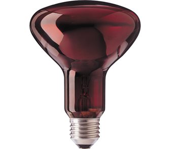 Red 100w infrared bulb