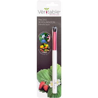 Pollination brush for strawberry peppers chili peppers Genuine